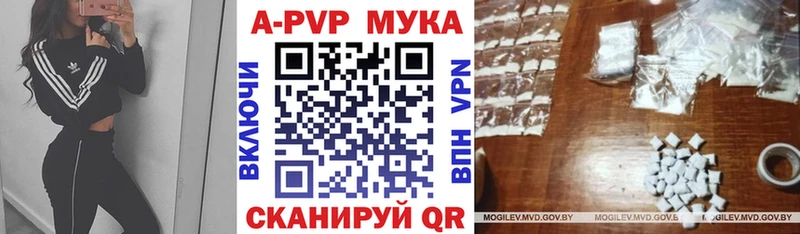 Alfa_PVP СК  где купить наркоту  Артём 