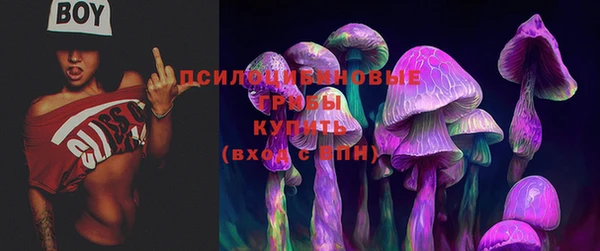 мдма Переславль-Залесский