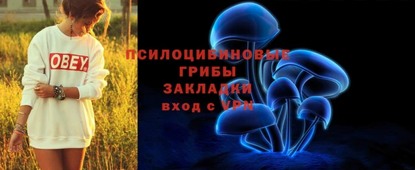 прущая мука Пересвет