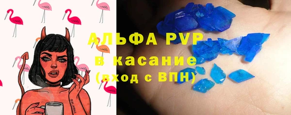 прущая мука Пересвет