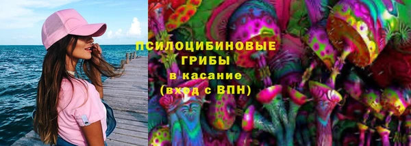 трава Осинники