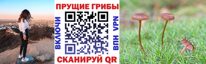 Псилоцибиновые грибы GOLDEN TEACHER  Артём 